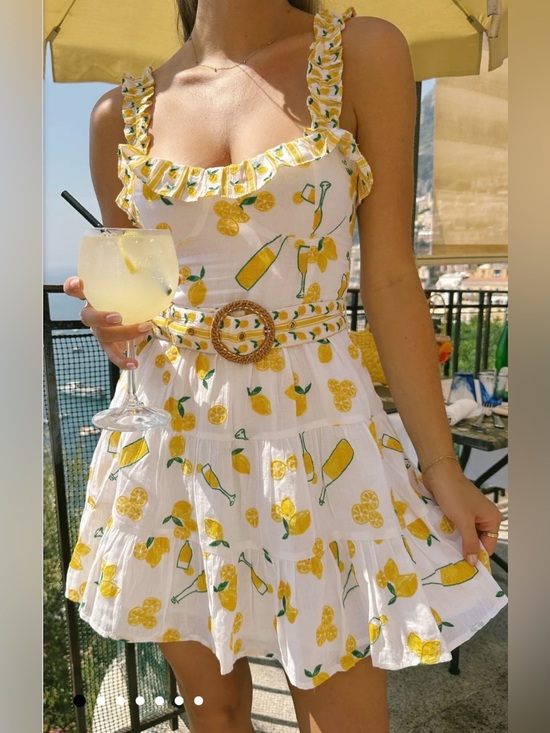 Show Me Your MuMu Dresses & Skirts - Show Me Your Mumu Jolene Mini Dress Limoncello Embroidery sz Small Coastal Chic
